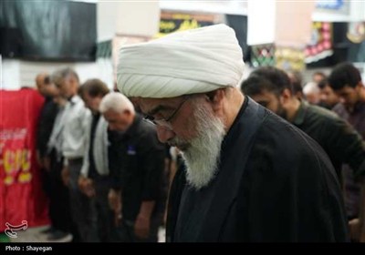 پیاده‌روی دلدادگان و جاماندگان اربعین در بوشهر