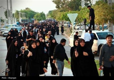 پیاده‌روی دلدادگان و جاماندگان اربعین در بوشهر