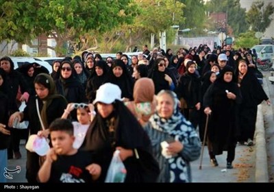 پیاده‌روی دلدادگان و جاماندگان اربعین در بوشهر