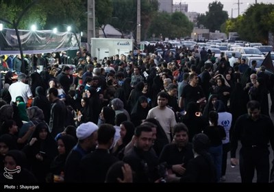 اربعين،بوشهر،كربلا،مراسم،امام،ارادت،حسين،استان،جاماندگان،تسن ...