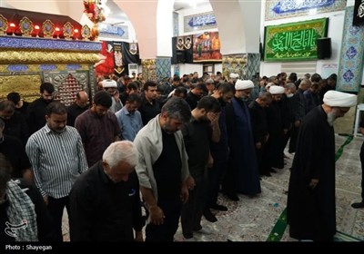 پیاده‌روی دلدادگان و جاماندگان اربعین در بوشهر