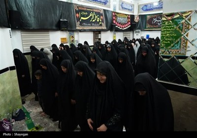 پیاده‌روی دلدادگان و جاماندگان اربعین در بوشهر