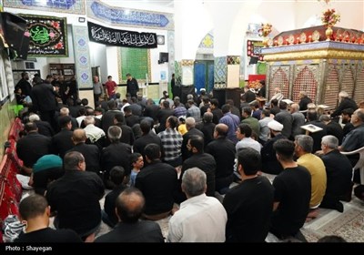 پیاده‌روی دلدادگان و جاماندگان اربعین در بوشهر