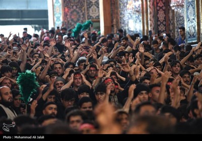 کربلای معلی در روز اربعین حسینی