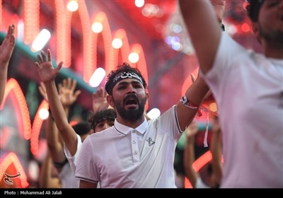 کربلای معلی در روز اربعین حسینی