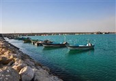 دمای 50 درجه در 6 شهر استان بوشهر/‌ شرجی به 91 درصد رسید