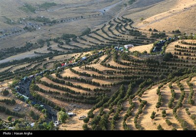 مراسم جاماندگان اربعین حسینی در زنجان