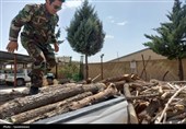کشف 4.7 تن چوب و زغال قاچاق در بویراحمد