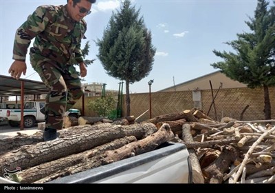 طبيعي،منابع،زغال،يگان،چوب،قاچاق،حفاظت،دستگاه،بويراحمد،شهرستا ...