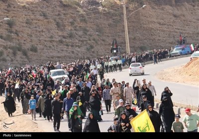 همدلی با اربعین، همبستگی با غزه