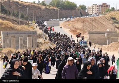 همدلی با اربعین، همبستگی با غزه