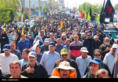همدلی با اربعین، همبستگی با غزه