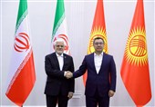 عارف:همبستگی کشورهای منطقه به بالارفتن ضریب امنیت کمک می کند