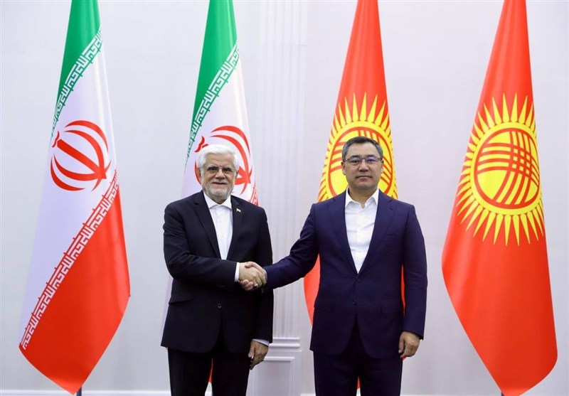 عارف:همبستگی کشورهای منطقه به بالارفتن ضریب امنیت کمک می کند