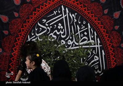 فعالیت اربعینی موکب تشنگان فرات در کرمان