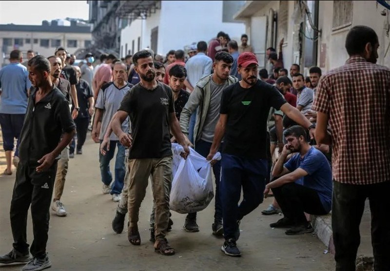 Seven Aid Seekers Among 21 Palestinians Killed in Gaza since Dawn