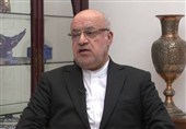 امانی: بدون سلاح و مقاومت، هجوم اسرائیل به لبنان حد و مرزی نخواهد داشت