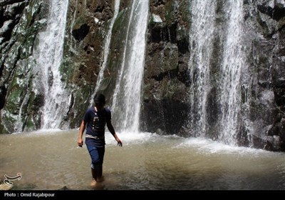 &#171;میلاش&#187; آبشاری سحرانگیز در جنگل‌های انبوه اشکور گیلان