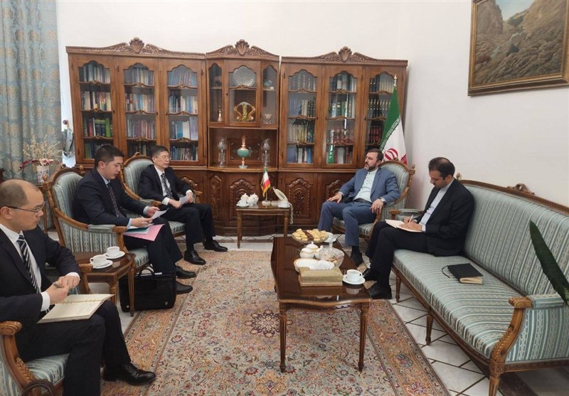 السفیر الصینی یلتقی غریب آبادی
