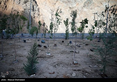 فاز 2 آزاد راه تهران شمال در آستانه بهره برداری