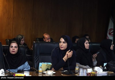 نشست رئیس مرکز پژوهش‌های مجلس با اصحاب رسانه