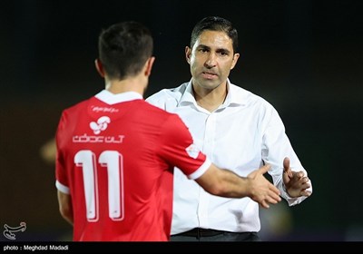 وحید هاشمیان سرمربی تیم فوتبال پرسپولیس