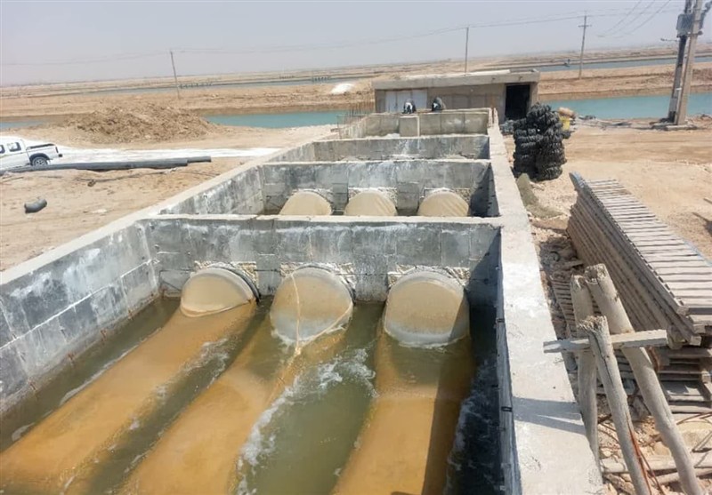 آغاز طرح پایلوت کنترل بیماری AHPND در مزارع میگو استان بوشهر