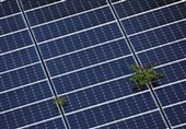 Trump Pushes Back against Renewable Energy