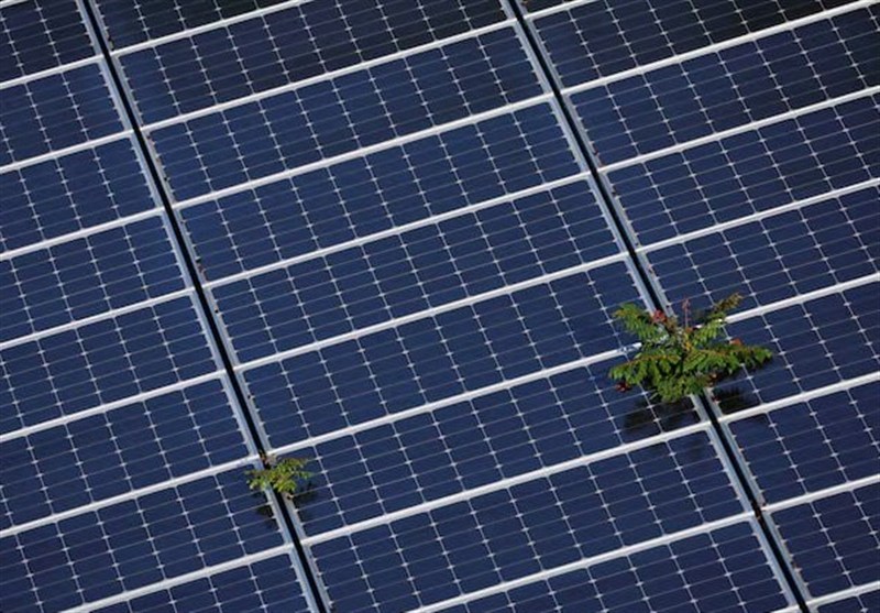 Trump Pushes Back against Renewable Energy