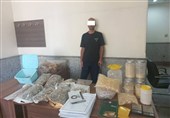 دستگیری مواد فروشی با 2000فالوئر در اینستاگرام/ کشف 17کیلو قارچ سمی توهم‌زا