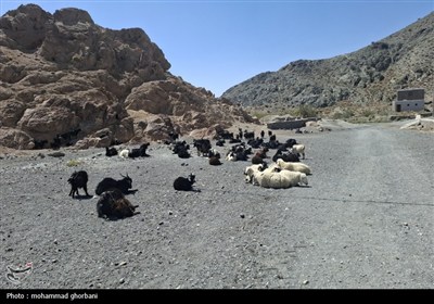 بازدید رسانه‌ها از روستاهای مرزی خراسان جنوبی (2)