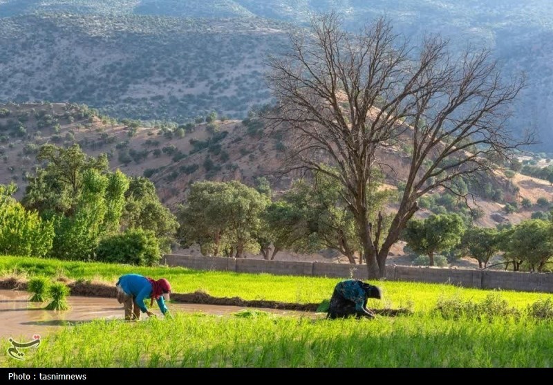 عکاسی , 