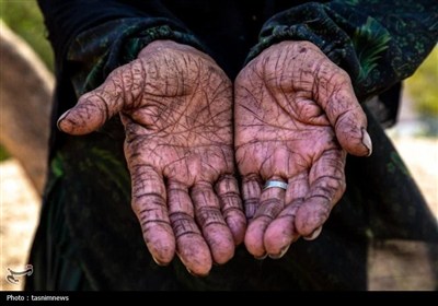 چشم روستا، قلب عشایر