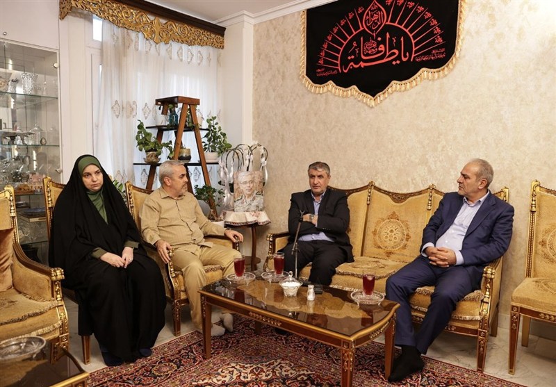 محمد اسلامی , سازمان انرژی اتمی ایران , 