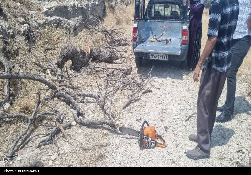 سازمان منابع طبیعی , 