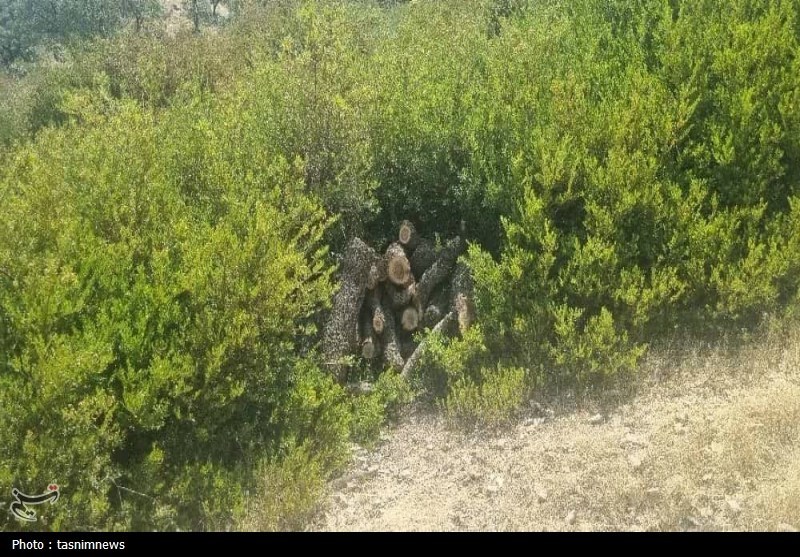 سازمان منابع طبیعی , 