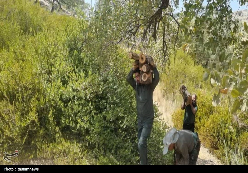 سازمان منابع طبیعی , 