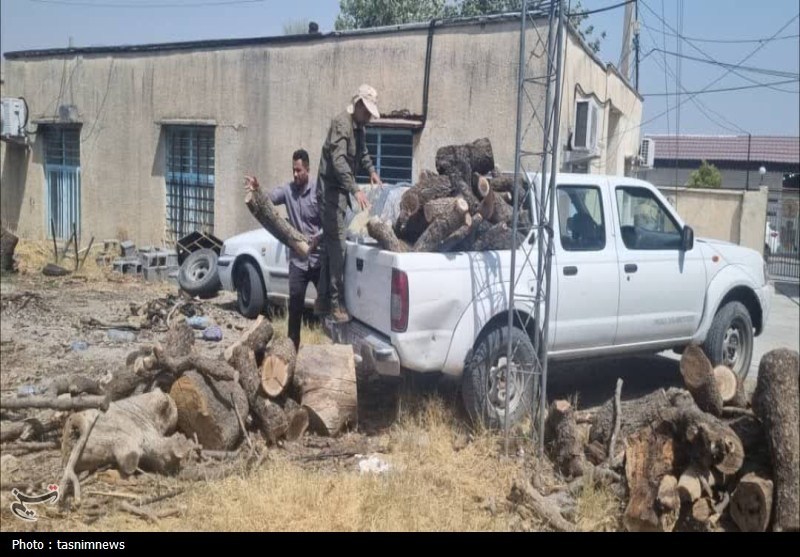 سازمان منابع طبیعی , 