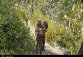 شوک به قاچاق چوب در باشت؛ پیگیری قضایی و احداث پاسگاه حفاظتی جدید