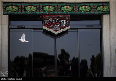 در حاشیه جلسه هیئات دولت