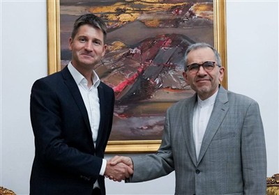 مشاور،گفتگو،مسائل،امنيت،ديدار