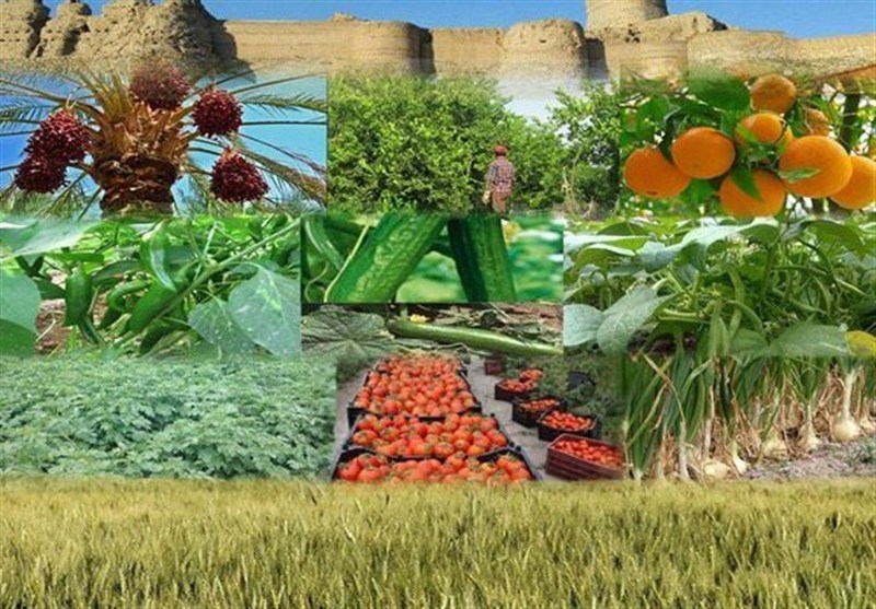 صدها فرصت شغلی و جهش صادراتی در راه سیستان و بلوچستان/توافق تاریخی وزرای کشاورزی ایران و پاکستان