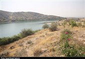 بررسی پروژههای حوزه آب و راه شهرستانهای تنگستان و دشتستان
