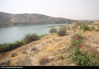 بررسی پروژه‌های حوزه آب و راه شهرستان‌های تنگستان و دشتستان