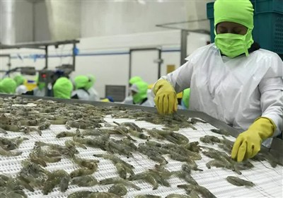 نظارت،استان،دام،طيور،دامپزشكي،آبزيان،بوشهر،بهداشتي