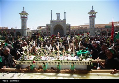 حرم حضرت معصومه(س) در سوگ پیامبر اکرم(ص) و امام حسن(ع)