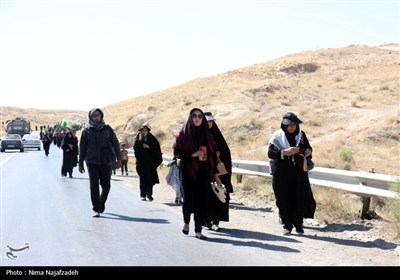 زائران رضوی در جاده امام رضا (ع)