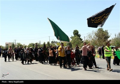 زائران رضوی در جاده امام رضا (ع)