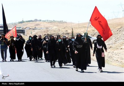 زائران رضوی در جاده امام رضا (ع)