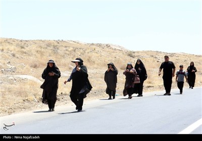 زائران رضوی در جاده امام رضا (ع)